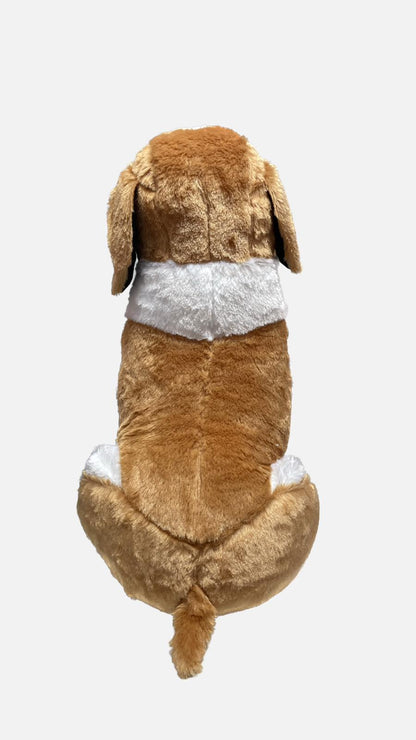 Плюшено куче, Бетовен, 45 см